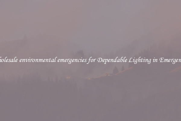 Wholesale environmental emergencies for Dependable Lighting in Emergencies