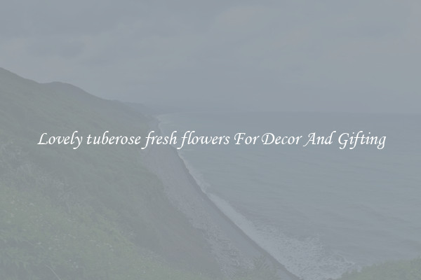 Lovely tuberose fresh flowers For Decor And Gifting