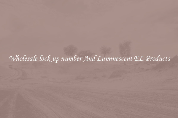 Wholesale lock up number And Luminescent EL Products