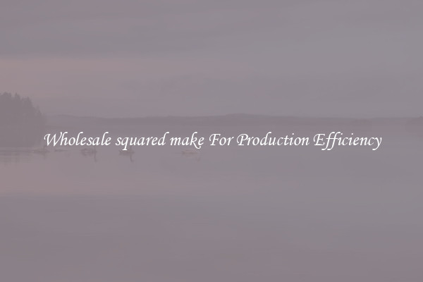 Wholesale squared make For Production Efficiency