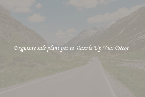 Exquisite sale plant pot to Dazzle Up Your Décor  