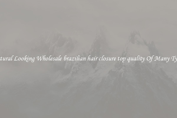 Natural Looking Wholesale brazilian hair closure top quality Of Many Types