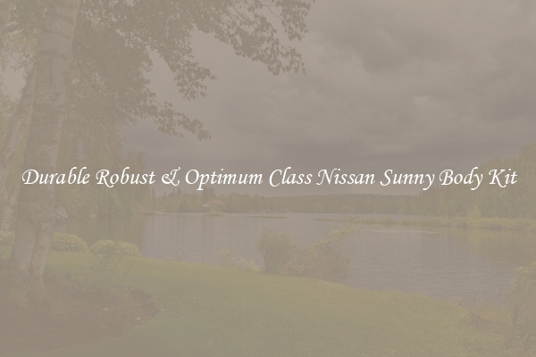 Durable Robust & Optimum Class Nissan Sunny Body Kit