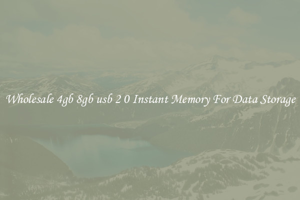 Wholesale 4gb 8gb usb 2 0 Instant Memory For Data Storage