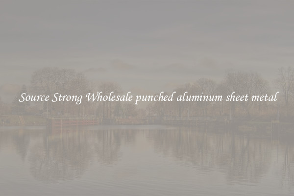 Source Strong Wholesale punched aluminum sheet metal