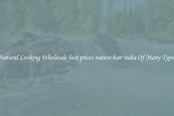 Natural Looking Wholesale best prices nature hair india Of Many Types
