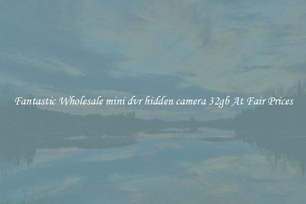 Fantastic Wholesale mini dvr hidden camera 32gb At Fair Prices