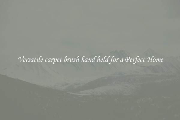 Versatile carpet brush hand held for a Perfect Home