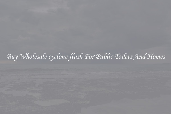 Buy Wholesale cyclone flush For Public Toilets And Homes