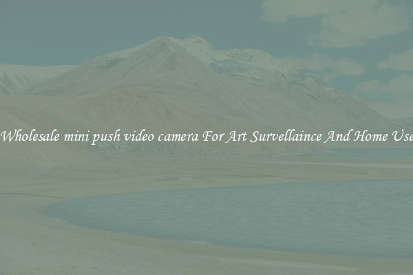 Wholesale mini push video camera For Art Survellaince And Home Use