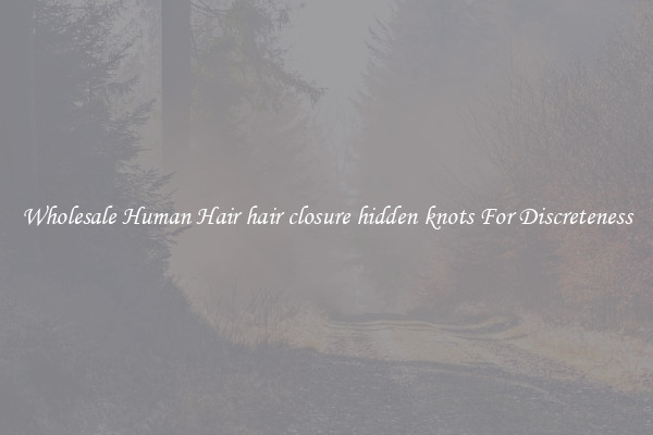 Wholesale Human Hair hair closure hidden knots For Discreteness