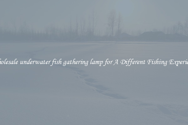 Wholesale underwater fish gathering lamp for A Different Fishing Experience