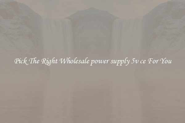 Pick The Right Wholesale power supply 5v ce For You