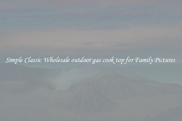 Simple Classic Wholesale outdoor gas cook top for Family Pictures 
