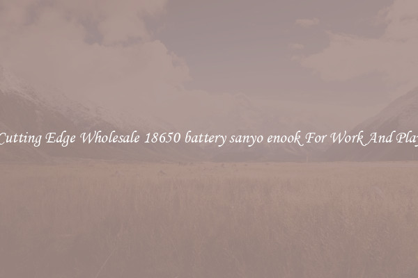 Cutting Edge Wholesale 18650 battery sanyo enook For Work And Play