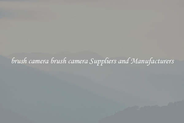 brush camera brush camera Suppliers and Manufacturers