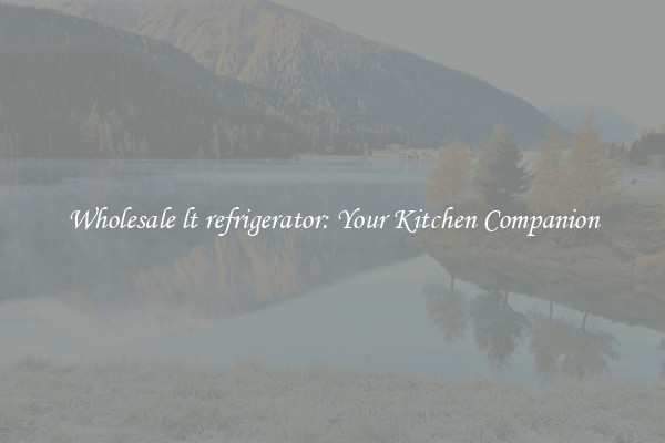 Wholesale lt refrigerator: Your Kitchen Companion