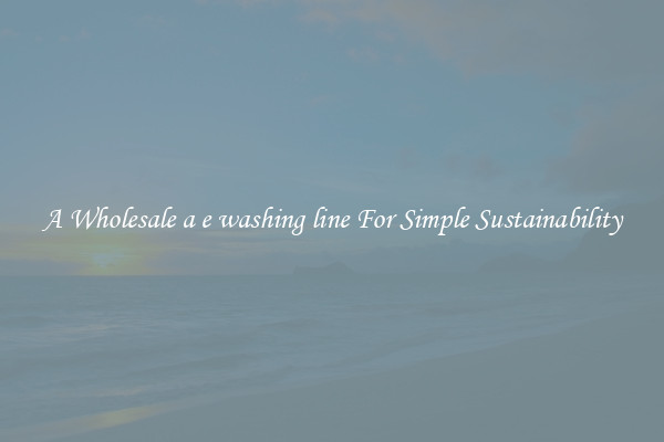  A Wholesale a e washing line For Simple Sustainability 